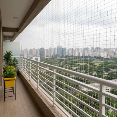 Pigeon Nets Hyderabad